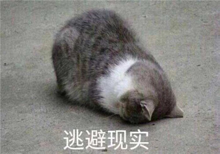 微信图片_20191022142343_副本.jpg